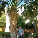 ���� ������, ������, 42 ���� - ��������� 9 ���� 2016 � ������ ���� ����������