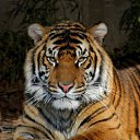 ���� �����, ����, 36 ��� - ��������� 12 ���� 2016 � ������ ���� ����������