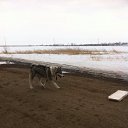 ���� ������, ������������, 65 ��� - ��������� 31 ����� 2016 � ������ ���� ����������