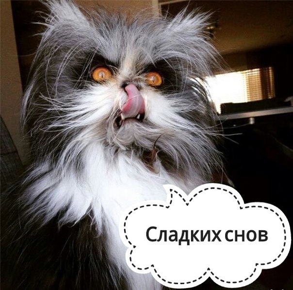 �� ���������� ���� ר! - 11 ������� 2016 � 02:03