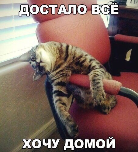    :D - 22  2016  19:32