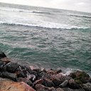 ���� �����, �����-���������, 47 ��� - ��������� 24 ���� 2016 � ������ ���� ����������