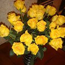 ���� ���������, �������, 43 ���� - ��������� 20 ���� 2016