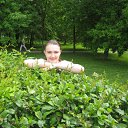 ���� ������, ������, 40 ��� - ��������� 29 ��� 2016 � ������ ���� ����������