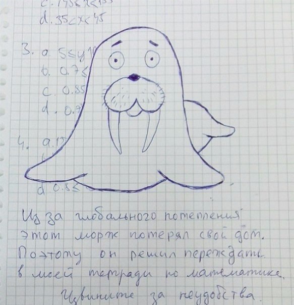     ,     - 10