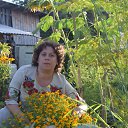 ���� ����, ��������� - ��������� 11 ������� 2016 � ������ ���� ����������