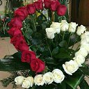���� Adam, ������, 58 ��� - ��������� 8 ������� 2016 � ������ ����������