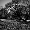 ���� ������, ������, 40 ��� - ��������� 10 ���� 2016 � ������ ����������� ��� ����� )�