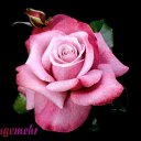 ���� Valerij, ������ - ��������� 3 ��� 2016 � ������ ���� ����������