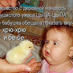 ���� ������, �����-���������, 61 ��� - ��������� 26 ������ 2016