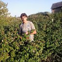 ���� ����, �������� - ��������� 28 ������ 2016