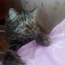 ���� �����, ����� - ��������� 17 ������� 2016 � ������ �Mobile Uploads�