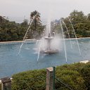  , , 75  -  12  2016    2016