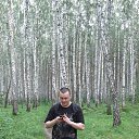 ���� ���������, ������ - ��������� 31 ������� 2016 � ������ ���� ����������