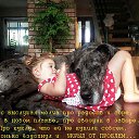 ���� ���� ��������, ����������� - ��������� 11 ������ 2016 � ������ ���� ����������