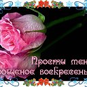 ���� ������, �����-���������, 64 ���� - ��������� 27 ����� 2016 � ������ �������� ��������