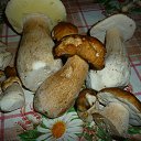 ���� �����, ������, 67 ��� - ��������� 6 �������� 2016 � ������ �������