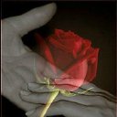 ���� �������, ����� - ��������� 21 ���� 2016 � ������ �������� ��������