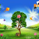 ���� Venera, ������ - ��������� 20 ����� 2016 � ������ �������� �������-�������