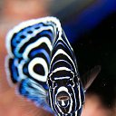 ���� Eric, ����, 61 ��� - ��������� 29 ������ 2016 � ������ �The beauty of the sea�