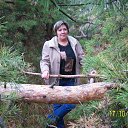 ���� ��������, �������, 54 ���� - ��������� 8 �������� 2016 � ������ ���� ����������