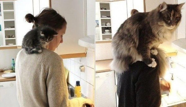 Они для нас – страница в жизни, а мы для них и есть вся жизнь - 2