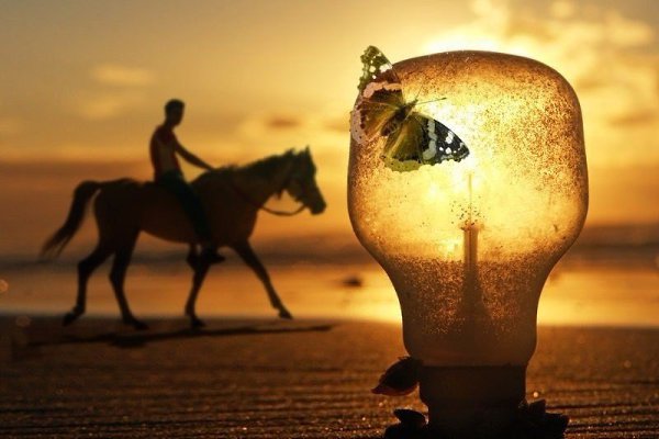 У каждого из нас есть только одно истинное призвание — найти путь к самому себе. © Герман Гессе - 2