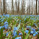 ���� �����, ������� - ��������� 15 ������ 2016 � ������ ���� ����������