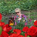 ���� ������, ����������, 61 ��� - ��������� 30 ����� 2016