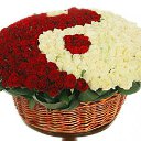 ���� �������, ����� - ��������� 21 ���� 2016 � ������ �������� ��������