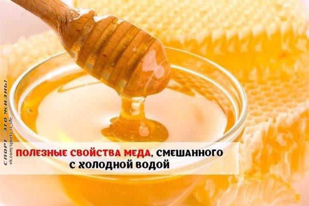 Полезные свойства меда, смешанного с холодной водой.Медовая вода – это поистине потрясающее ...