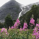 ���� ������, �������� - ��������� 13 ������� 2016 � ������ ������ ��������