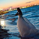 ���� �����, ������, 55 ��� - ��������� 26 ���� 2016 � ������ ������ ��������