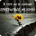 ���� �����, ����������, 62 ���� - ��������� 7 ������ 2016 � ������ ������ ��������