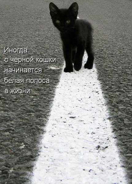 ��� �������� �������� - 25 ����� 2016 � 09:14