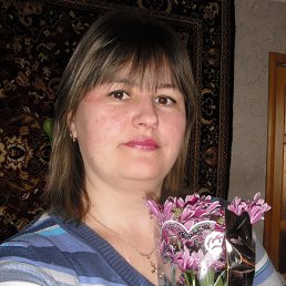 ����, ��������, 46 ���