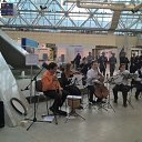   , , 52  -  13  2016   ߻