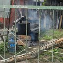 ���� Lidiya, ������, 62 ���� - ��������� 22 ���� 2016 � ������ ������ ��������