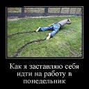 ���� ���������, �����, 50 ��� - ��������� 8 ���� 2016 � ������ ������ ��������