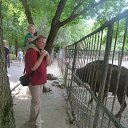 ���� ����, ������-��-����, 46 ��� - ��������� 25 ���� 2016