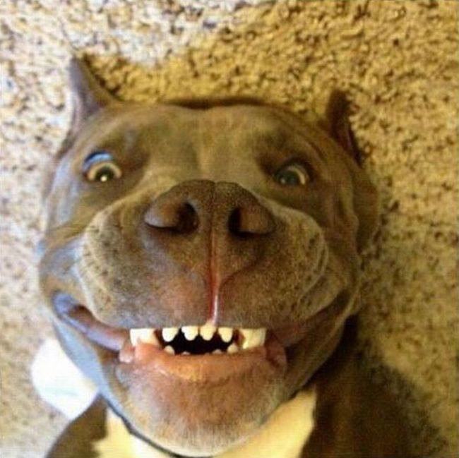 ***Victoria Viktorovna*** - 14  2016  16:13