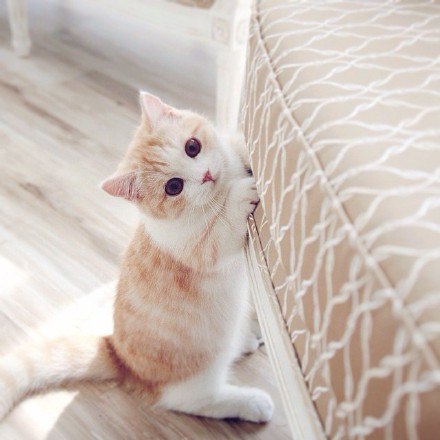       - 23  2016  18:31 - 4