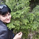 ���� ����, ������, 44 ���� - ��������� 21 ������ 2016 � ������ ���� ����������