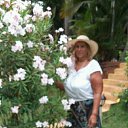 ���� �����, �����������, 66 ��� - ��������� 16 ��� 2016 � ������ ���� ����������