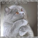 ���� E����, ��������� - ��������� 3 ������ 2016 � ������ ������ ��������