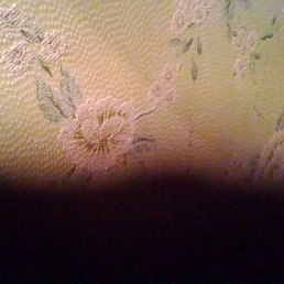 Svetozar, �����������