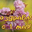 �������) �� ������� �������� ��������