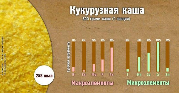 Сколько пользы в одной порции каши. #SPORT_питание@sports_is_life - 3