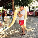 ���� �������, ����������, 38 ��� - ��������� 13 ������� 2016