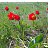 ���� �������, ������, 54 ���� - ��������� 16 ��� 2016